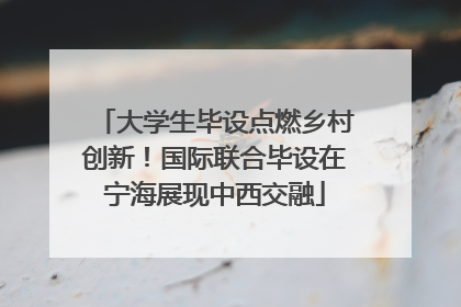 大学生毕设点燃乡村创新！国际联合毕设在宁海展现中西交融