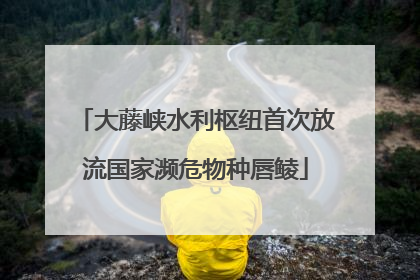 大藤峡水利枢纽首次放流国家濒危物种唇鲮