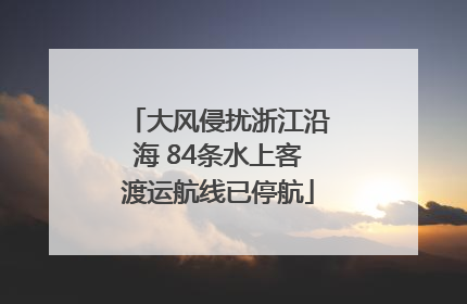 大风侵扰浙江沿海 84条水上客渡运航线已停航