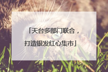 天台多部门联合，打造银发红心集市
