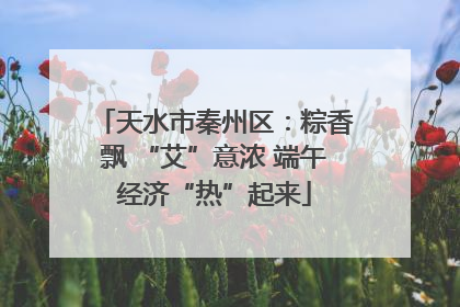 天水市秦州区：粽香飘 “艾”意浓 端午经济“热”起来