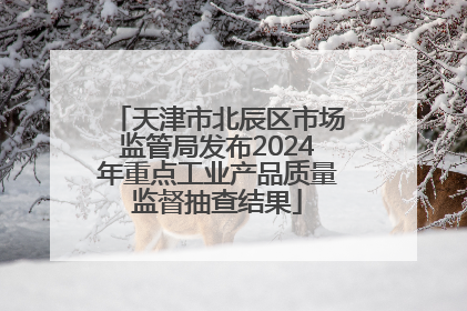 天津市北辰区市场监管局发布2024年重点工业产品质量监督抽查结果