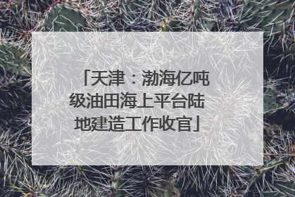 天津：渤海亿吨级油田海上平台陆地建造工作收官