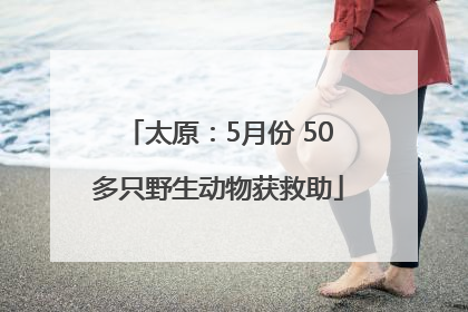太原：5月份 50多只野生动物获救助