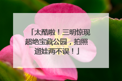 太酷啦！三明惊现超绝宝藏公园，拍照遛娃两不误！