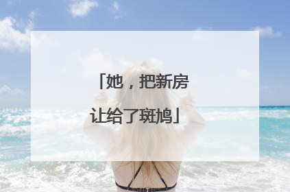 她，把新房让给了斑鸠