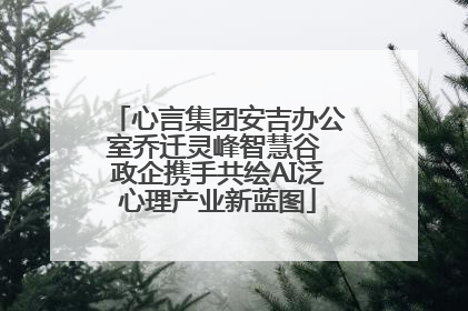 心言集团安吉办公室乔迁灵峰智慧谷 政企携手共绘AI泛心理产业新蓝图