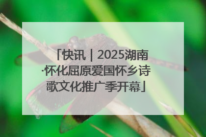 快讯｜2025湖南·怀化屈原爱国怀乡诗歌文化推广季开幕