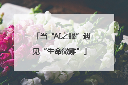 当“AI之眼”遇见“生命微雕”