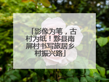 影像为笔，古村为纸！黟县南屏村书写旅居乡村振兴路