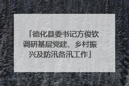 德化县委书记方俊钦调研基层党建、乡村振兴及防汛备汛工作