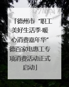 德州市“职工美好生活季·暖心消费嘉年华”德百家电惠工专项消费活动正式启动