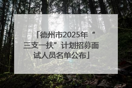 德州市2025年“三支一扶”计划招募面试人员名单公布