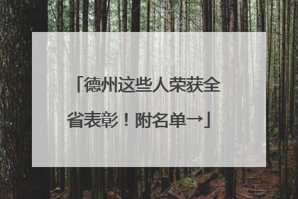 德州这些人荣获全省表彰！附名单→