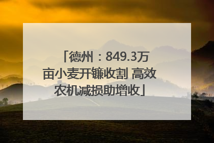 德州：849.3万亩小麦开镰收割 高效农机减损助增收
