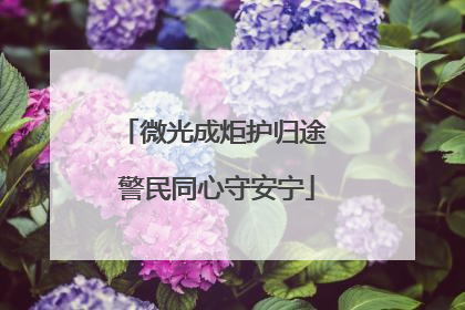 微光成炬护归途 警民同心守安宁