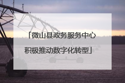微山县政务服务中心积极推动数字化转型