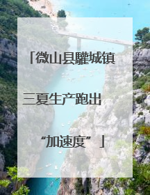 微山县驩城镇三夏生产跑出 “加速度”