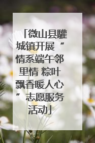 微山县驩城镇开展“情系端午邻里情 粽叶飘香暖人心”志愿服务活动