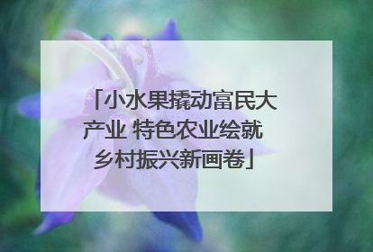 小水果撬动富民大产业 特色农业绘就乡村振兴新画卷