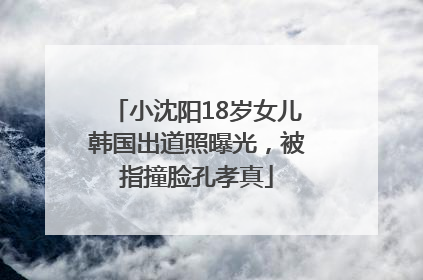 小沈阳18岁女儿韩国出道照曝光，被指撞脸孔孝真