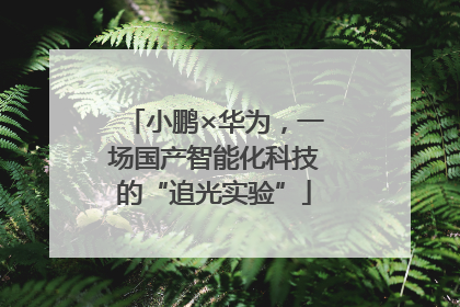 小鹏×华为，一场国产智能化科技的“追光实验”