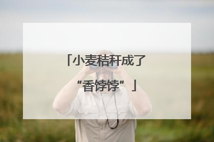小麦秸秆成了“香饽饽”