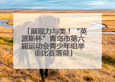 展现力与美！“英派斯杯”青岛市第六届运动会青少年组举重比赛落幕