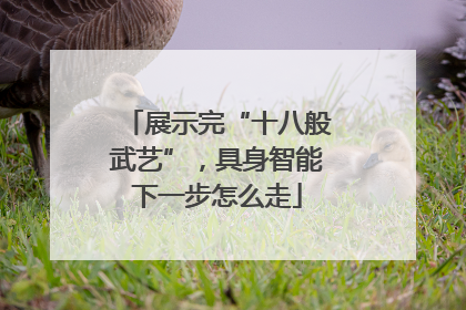 展示完“十八般武艺”，具身智能下一步怎么走