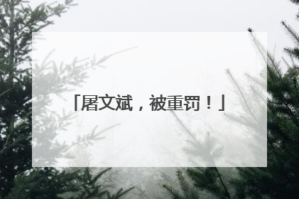 屠文斌，被重罚！