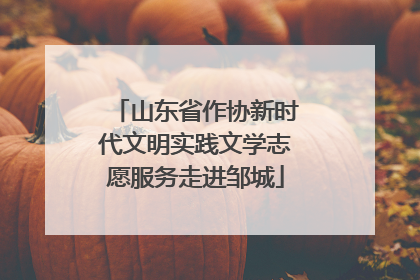 山东省作协新时代文明实践文学志愿服务走进邹城