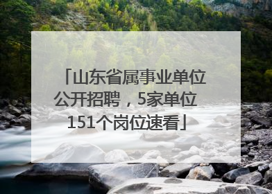 山东省属事业单位公开招聘，5家单位151个岗位速看