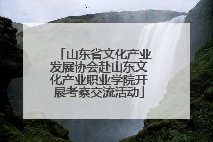 山东省文化产业发展协会赴山东文化产业职业学院开展考察交流活动