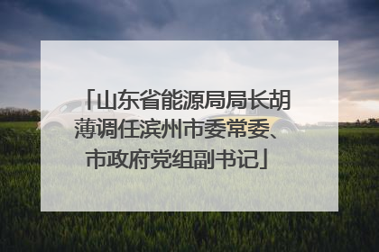 山东省能源局局长胡薄调任滨州市委常委、市政府党组副书记