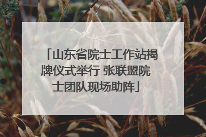 山东省院士工作站揭牌仪式举行 张联盟院士团队现场助阵