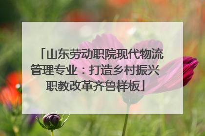 山东劳动职院现代物流管理专业：打造乡村振兴职教改革齐鲁样板