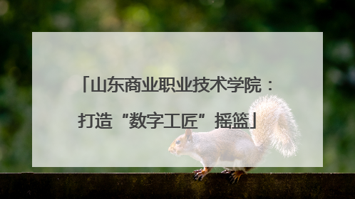 山东商业职业技术学院：打造“数字工匠”摇篮