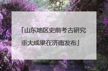 山东地区史前考古研究重大成果在济南发布