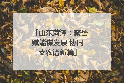 山东菏泽：聚势赋能谋发展 协同支农谱新篇