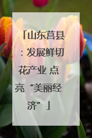 山东莒县：发展鲜切花产业 点亮“美丽经济”