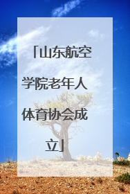 山东航空学院老年人体育协会成立