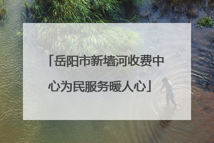 岳阳市新墙河收费中心为民服务暖人心