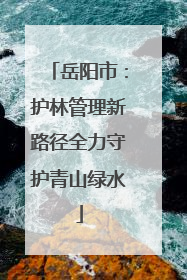 岳阳市：护林管理新路径全力守护青山绿水