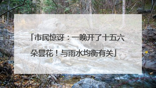 市民惊讶：一晚开了十五六朵昙花！与雨水均衡有关