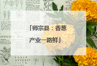 师宗县：香葱产业一路鲜