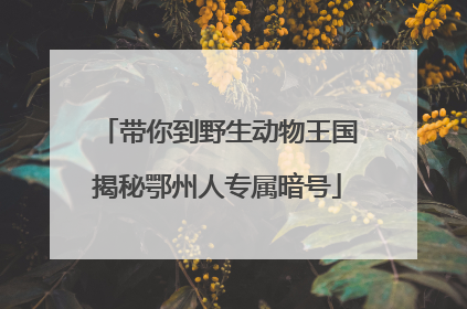 带你到野生动物王国揭秘鄂州人专属暗号