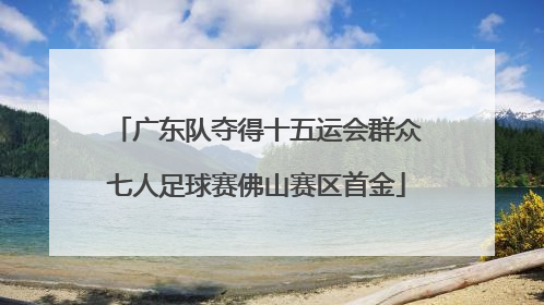 广东队夺得十五运会群众七人足球赛佛山赛区首金