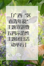 广西“区直青年说”主题宣讲暨五四示范性主题团日活动举行