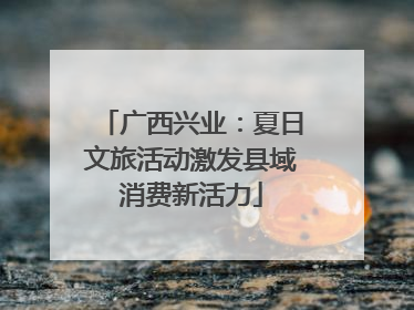 广西兴业：夏日文旅活动激发县域消费新活力