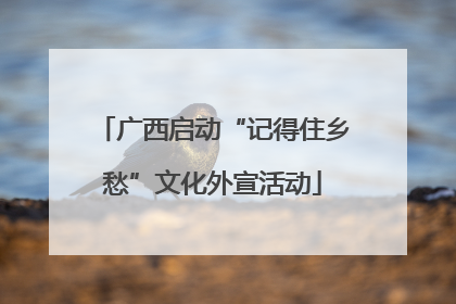 广西启动“记得住乡愁”文化外宣活动